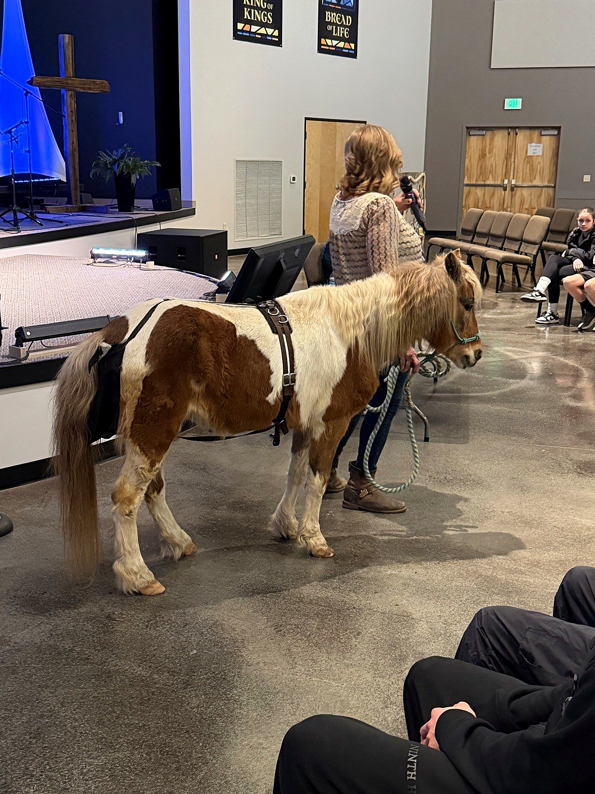 A visiting pony in the chapel during an elementary event